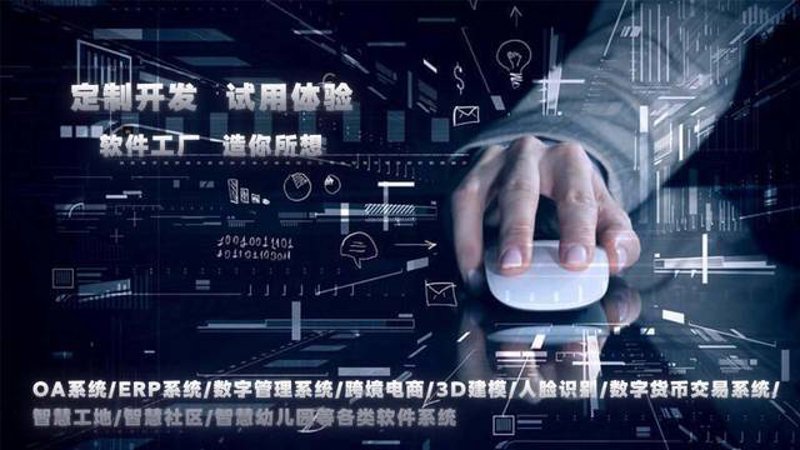 重庆软件开发